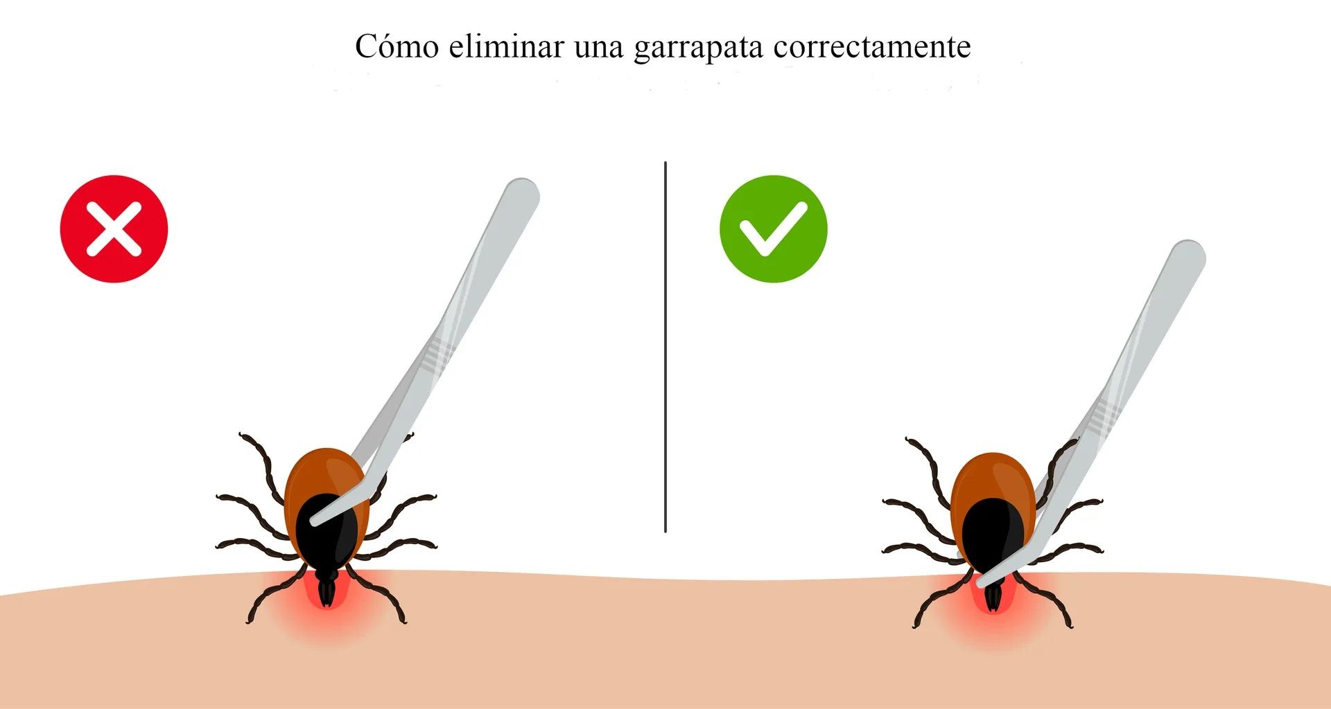 como sacar una garrapata de un perro con vaselina