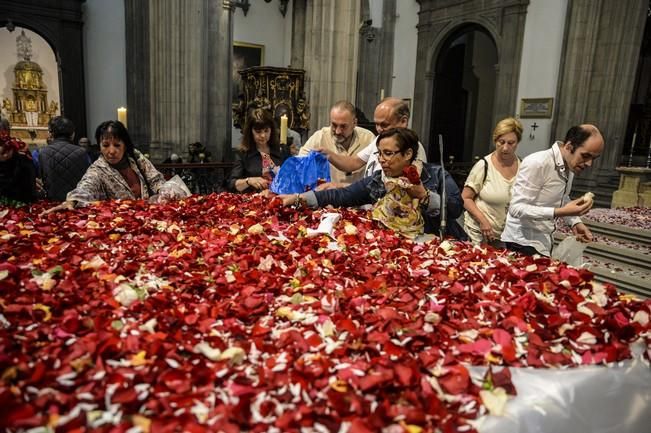 LLUVIA DE PETALOS EN LA CATEDRAL