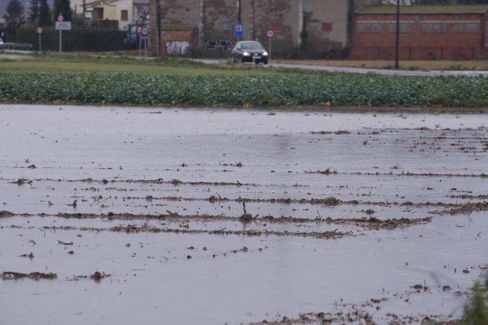 Dilluns de temporal