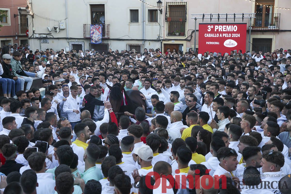 Entrega de premios del concurso de 'Caballo a pelo' en Caravaca