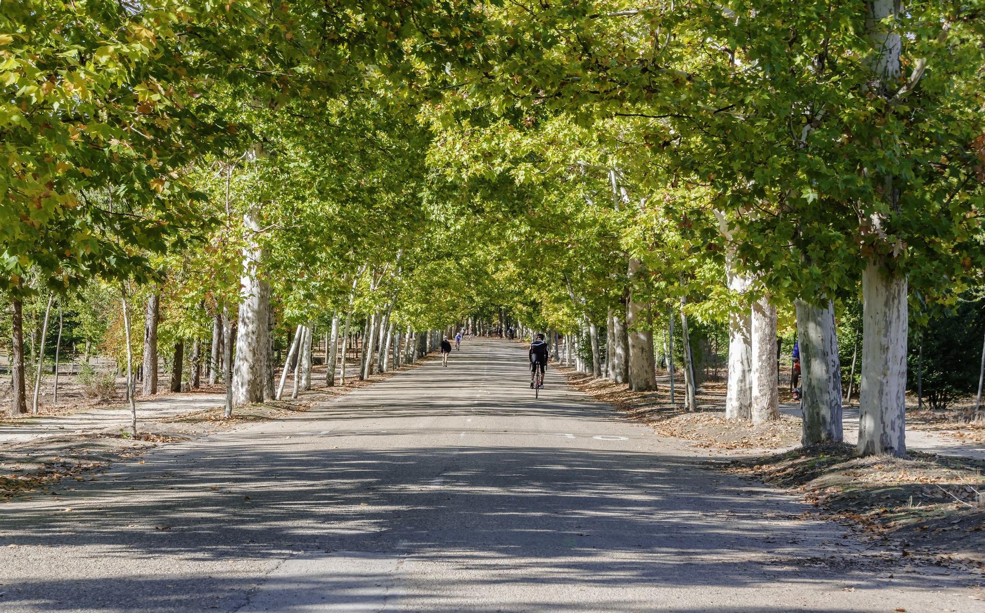 El parque con más de cuatro kilómetros de senda botánica y carril bici para amantes de los deportes al aire libre