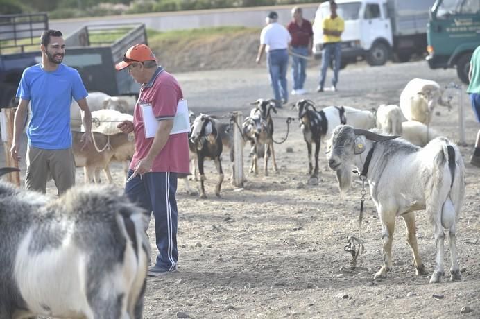 FFERIA GANADO SAN LORENZO 2017