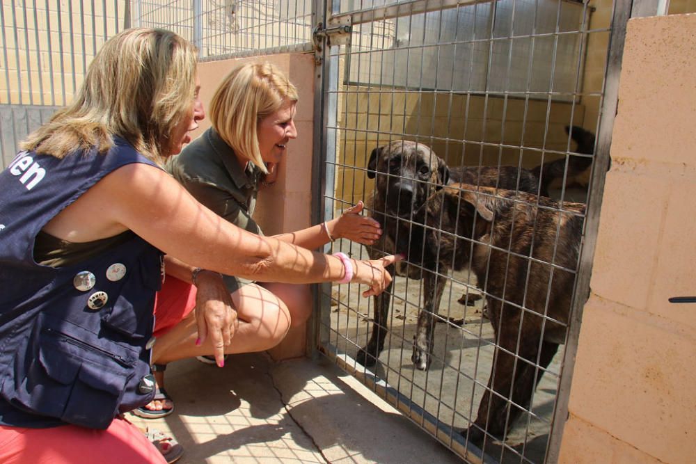 Visita a la Protectora de Animales y Plantas de Málaga