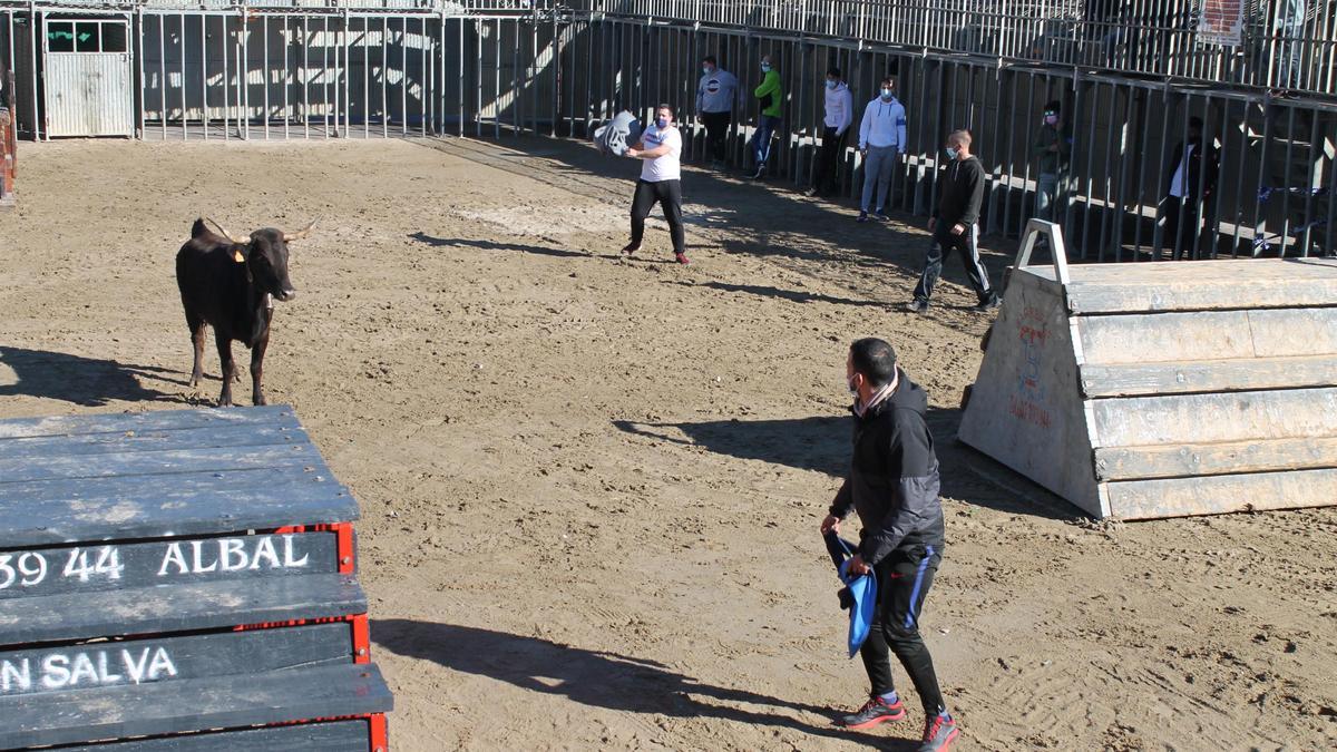 La plaza portátil acogió este martes los primeros actos taurinos de las fiestas de Sant Antoni.