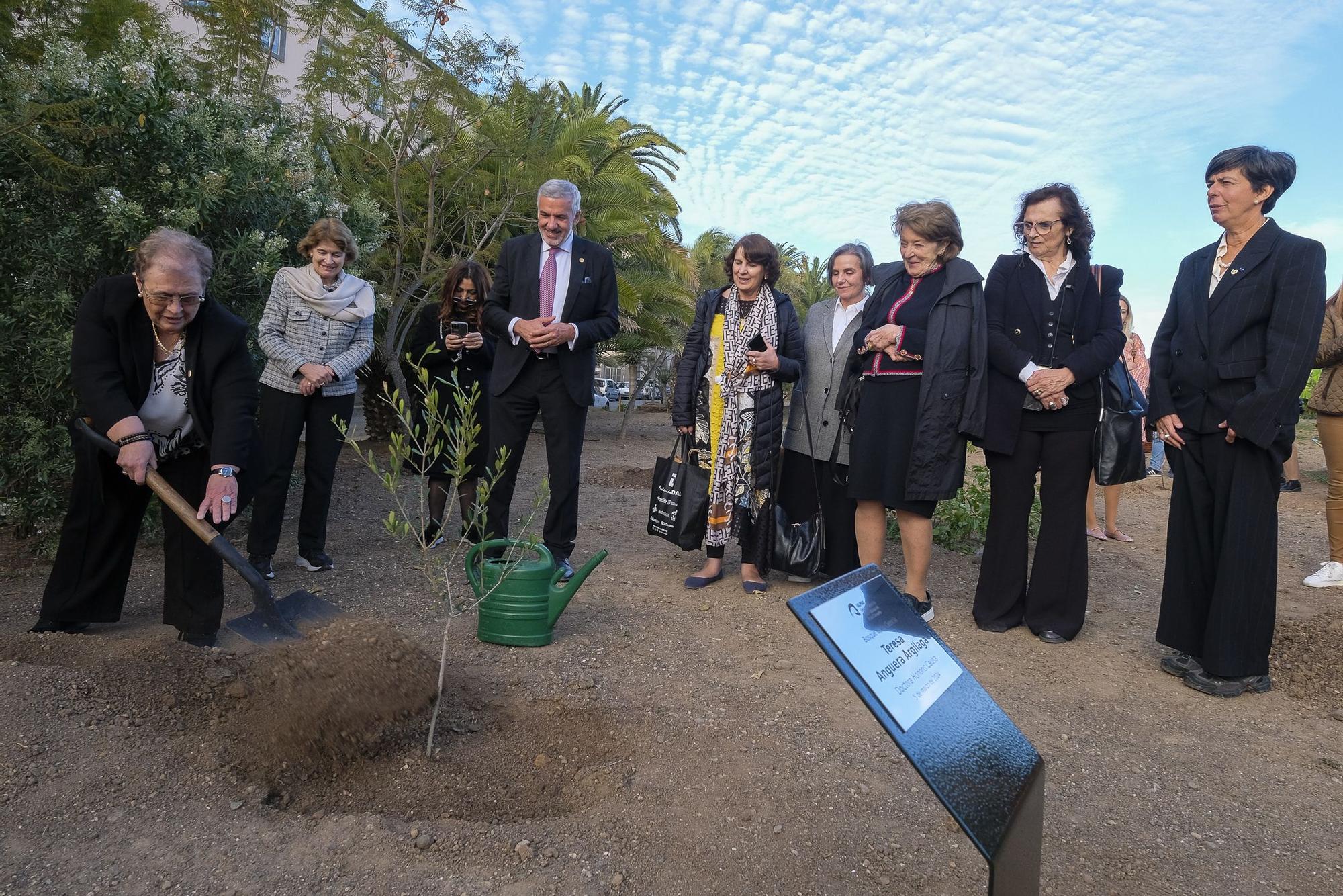 Plantación de 11 árboles por las 11 Doctoras 'Honoris Causa' de la ULPGC