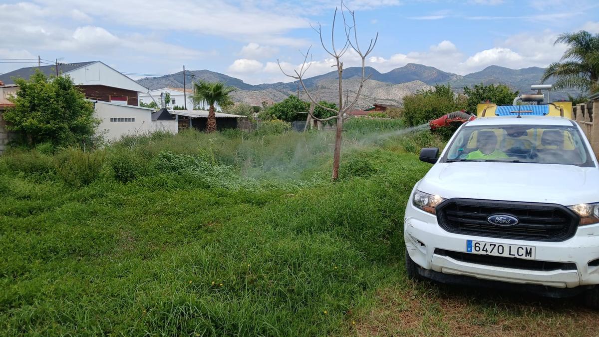 Aplicación de tratamientos contra los mosquitos en la provincia de Castellón.