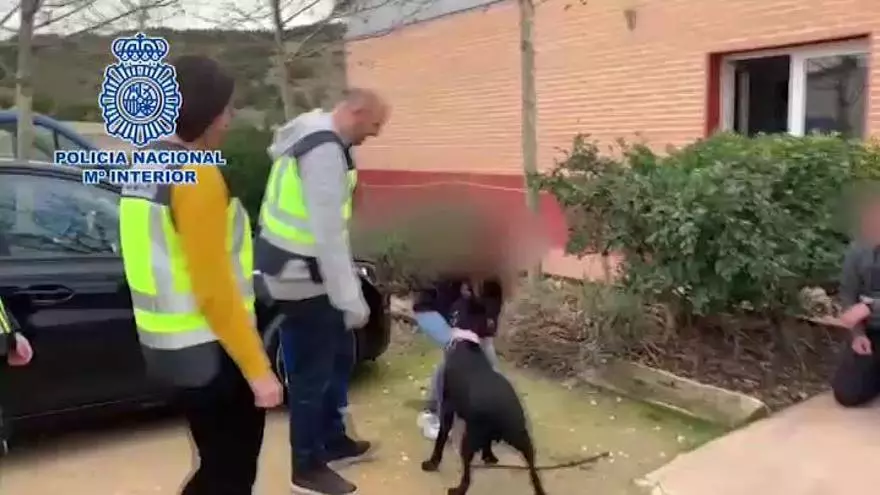 El entrenador de la perra 'Pocahontas', detenido por simular su robo