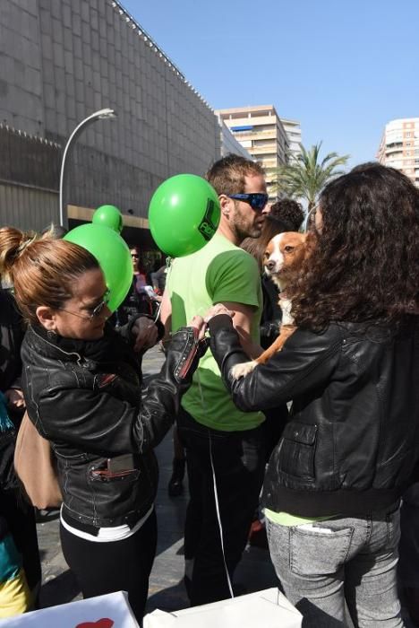 Los interinos de Educación protestan por las oposi