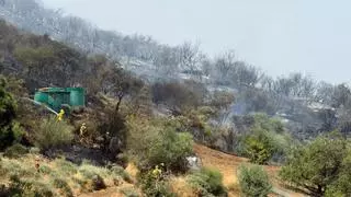 El viento, cinco helicópteros y 15 hectáreas quemadas: así se frenó el incendio de Cazadores