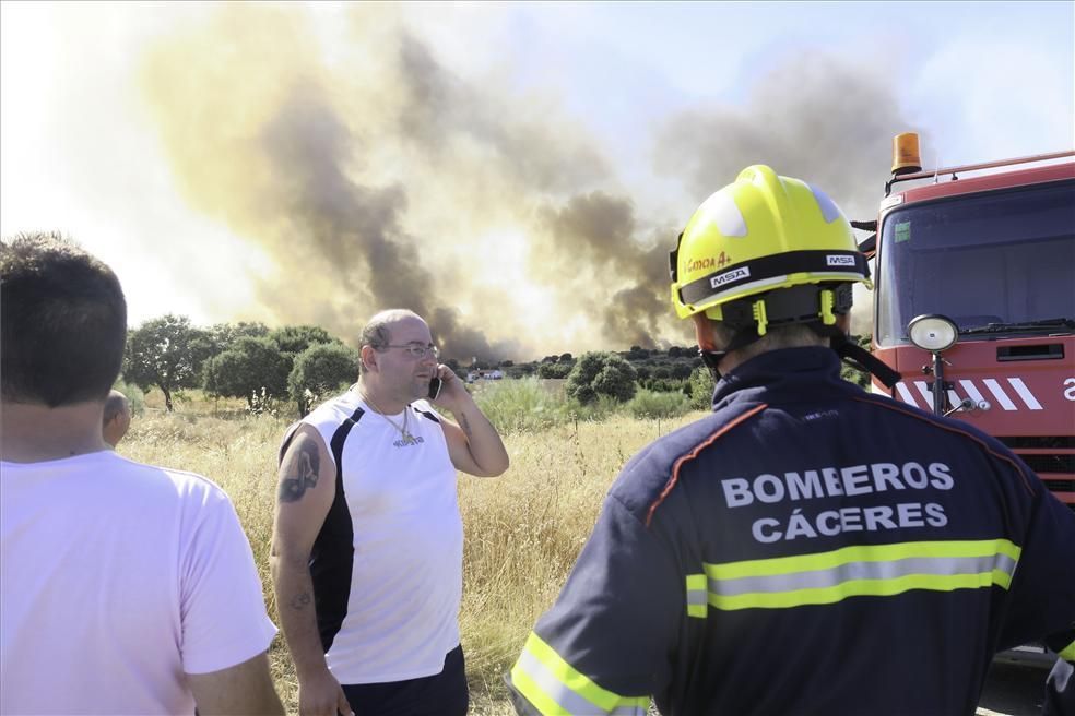 Incendio forestal en Cáceres