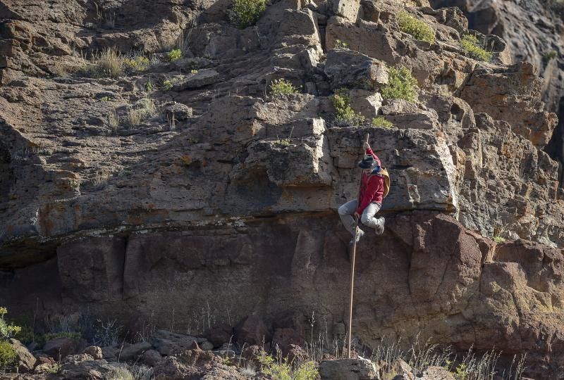 26/05/2018 TASARTICO, ALDEA DE SAN NICOLAS.  Apañada de cabras en la zona de Güi Güi, organizada por el Cabildo de Gran Canaria y  con la colaboración de distintos colectivos. FOTO: J. PÉREZ CURBELO  | 26/05/2018 | Fotógrafo: José Pérez Curbelo