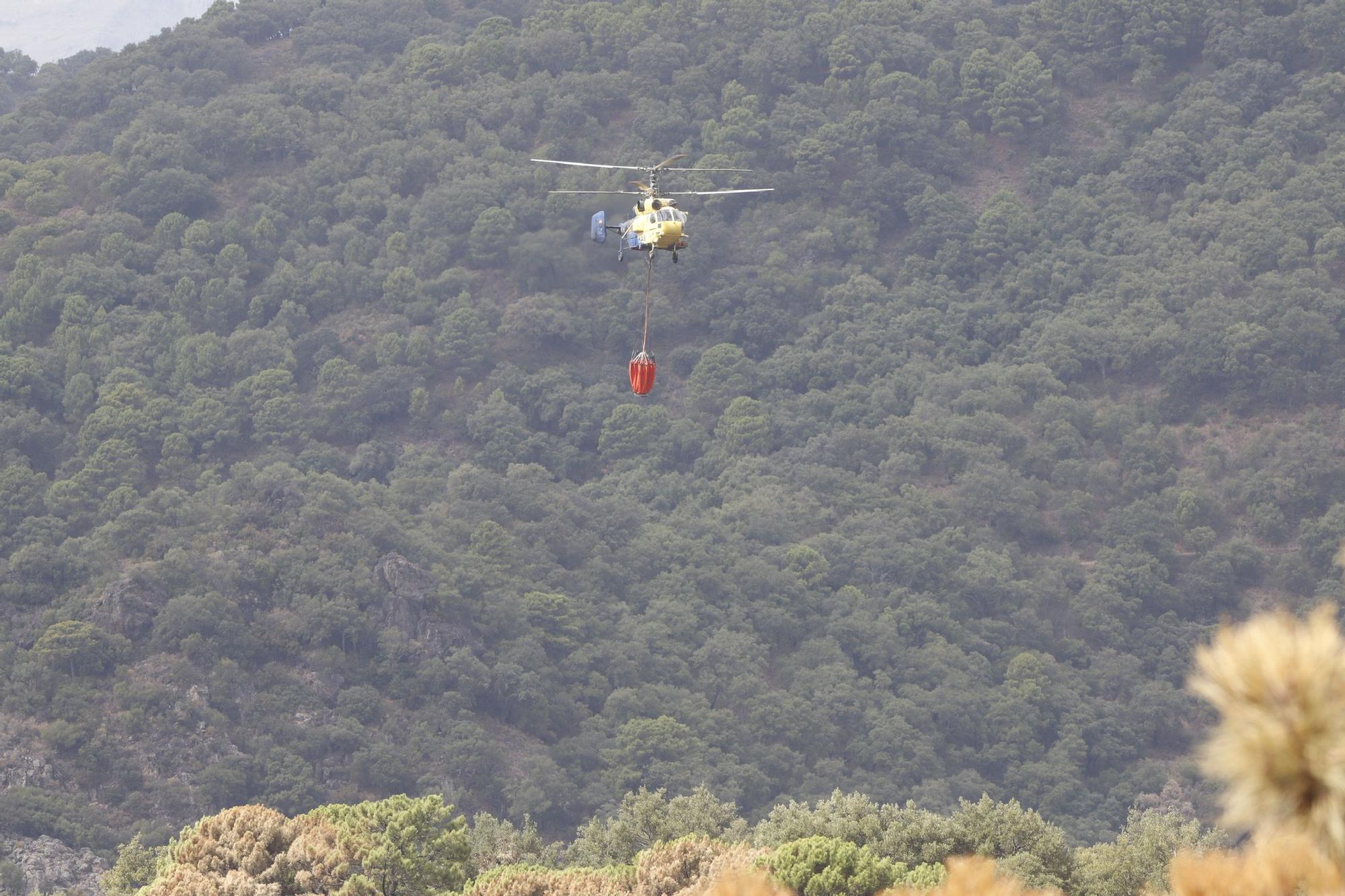 El Paraje de las Peñas Blancas en Estepona arrasado por el fuego