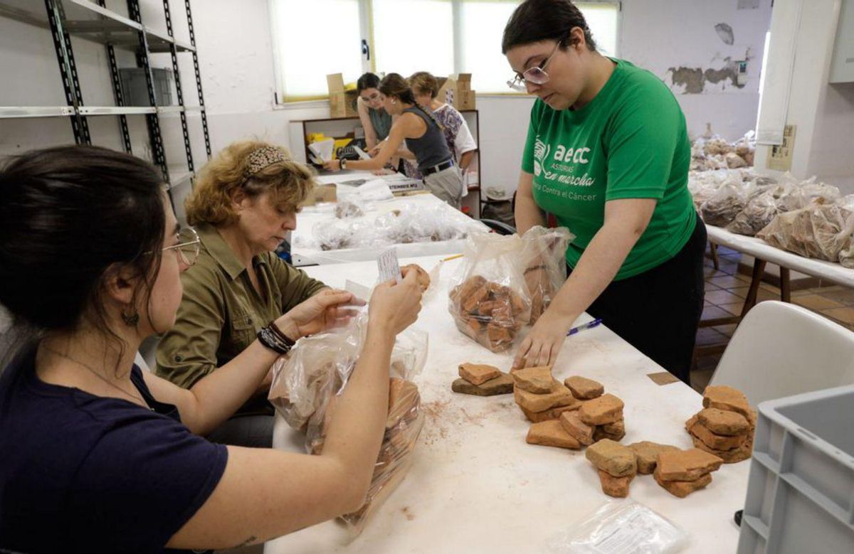 Alicia Hernández, Almudena Orejas y Tania Díaz, ayer, en el laboratorio de la Campa Torres. | Juan Plaza