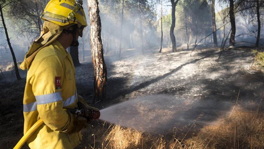 Declarado un incendio forestal en una zona próxima al aeropuerto