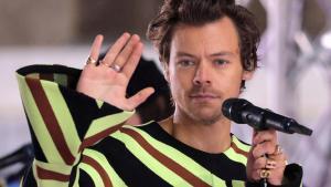 El cantante Harry Styles.