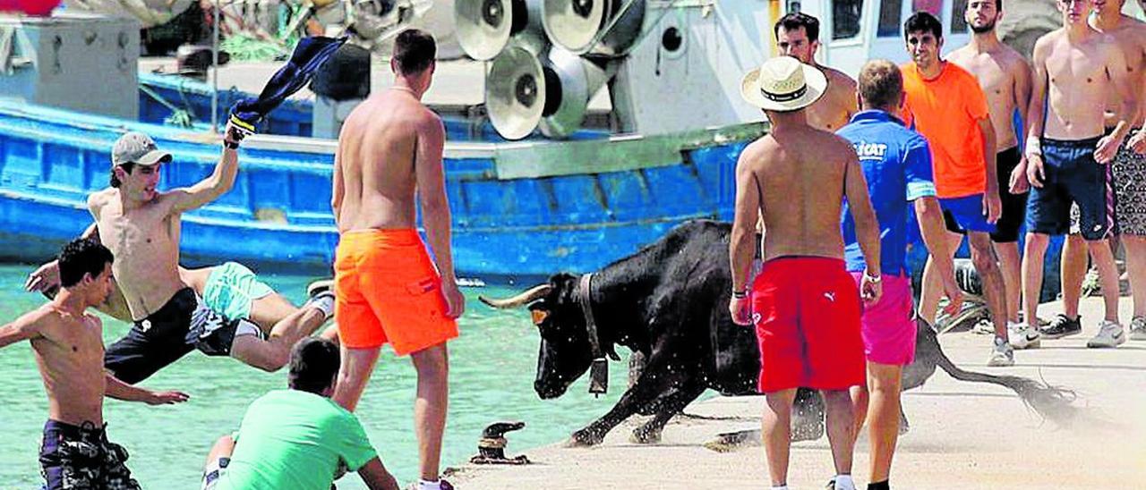 Los ‘bous a la mar’ son una de las tradiciones características de Benicarló.