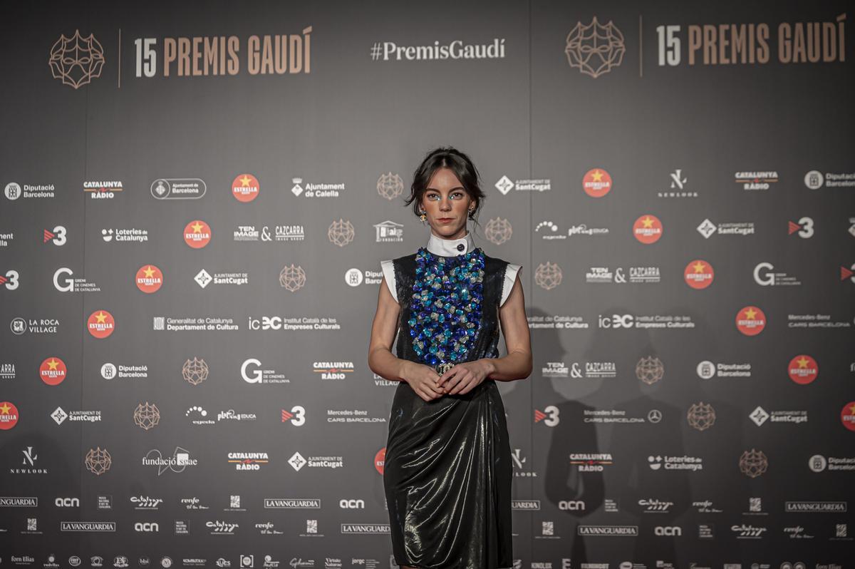 XV Premis Gaudí