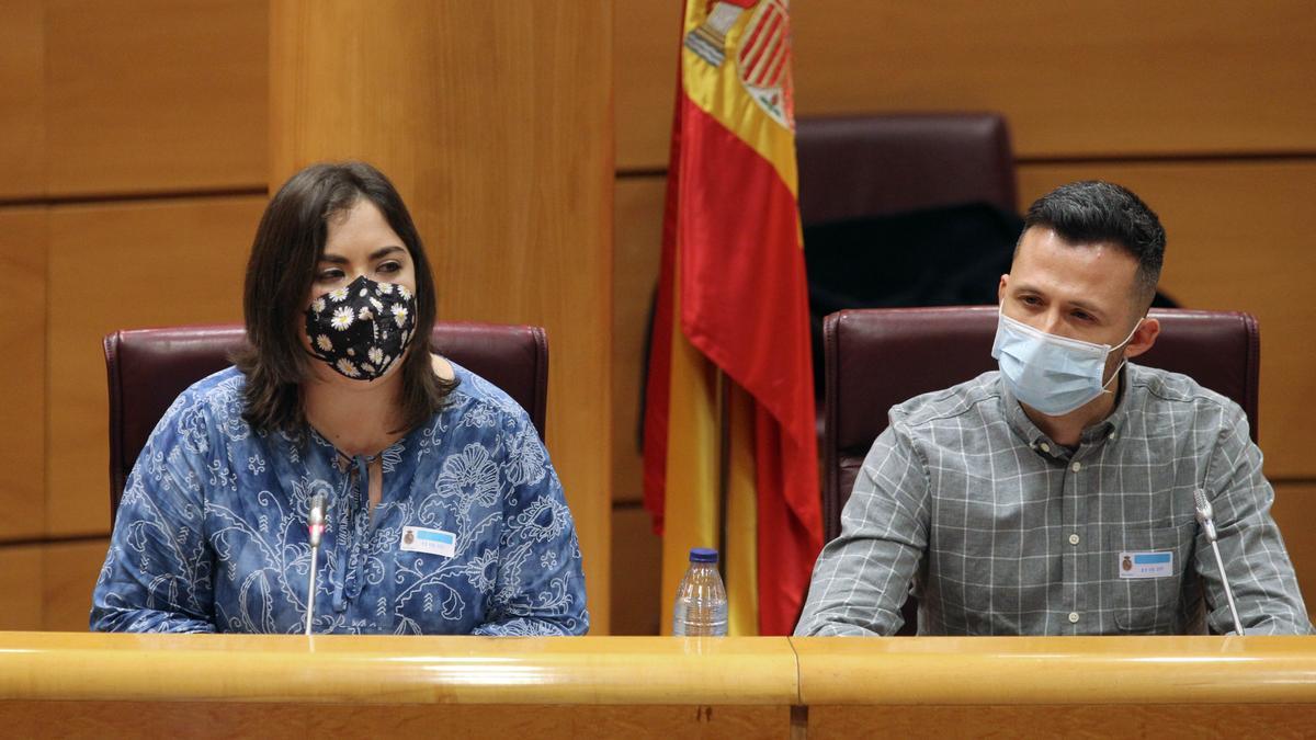 Dos miembros de Jóvenes Castilla y León, en el Senado el pasado 9 de febrero.