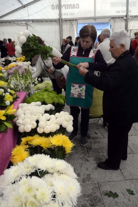 Vilagarcía ya prepara el 1 de noviembre