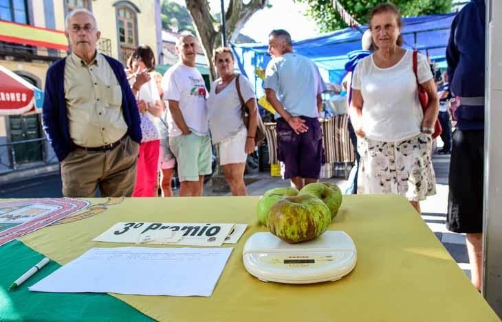 Fiesta de la manzana de Valleseco