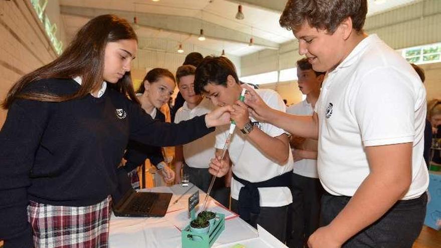 Varios alumnos comprueban el proyecto de cactus de sus compañeras. // G.S.