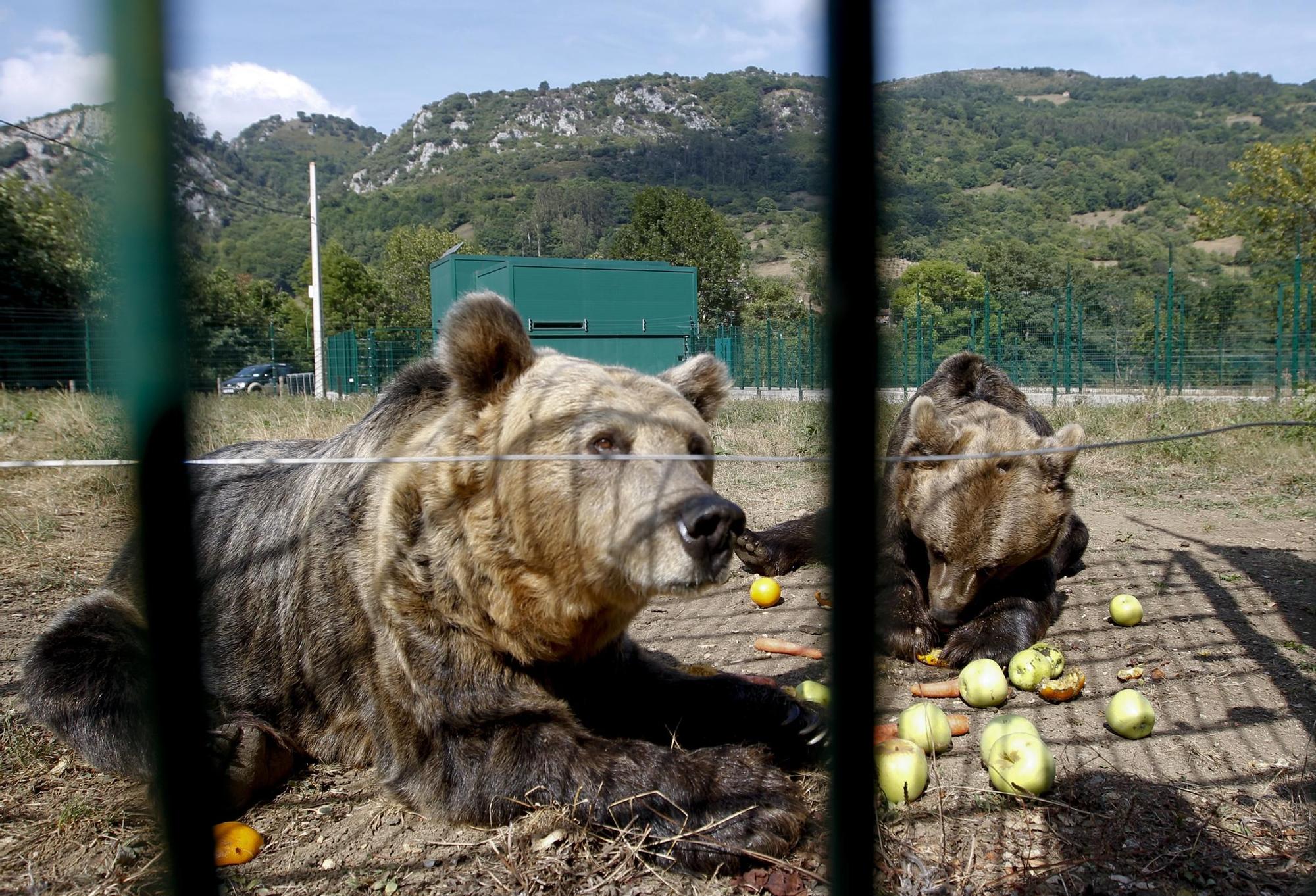 05_09_2012 23_06_00 (5106171).jpg