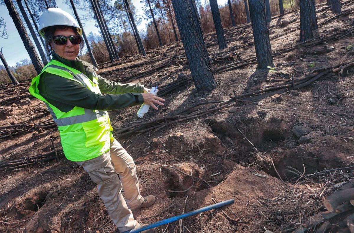 7,5 millones de euros de emergencia para reducir el impacto del incendio en el monte