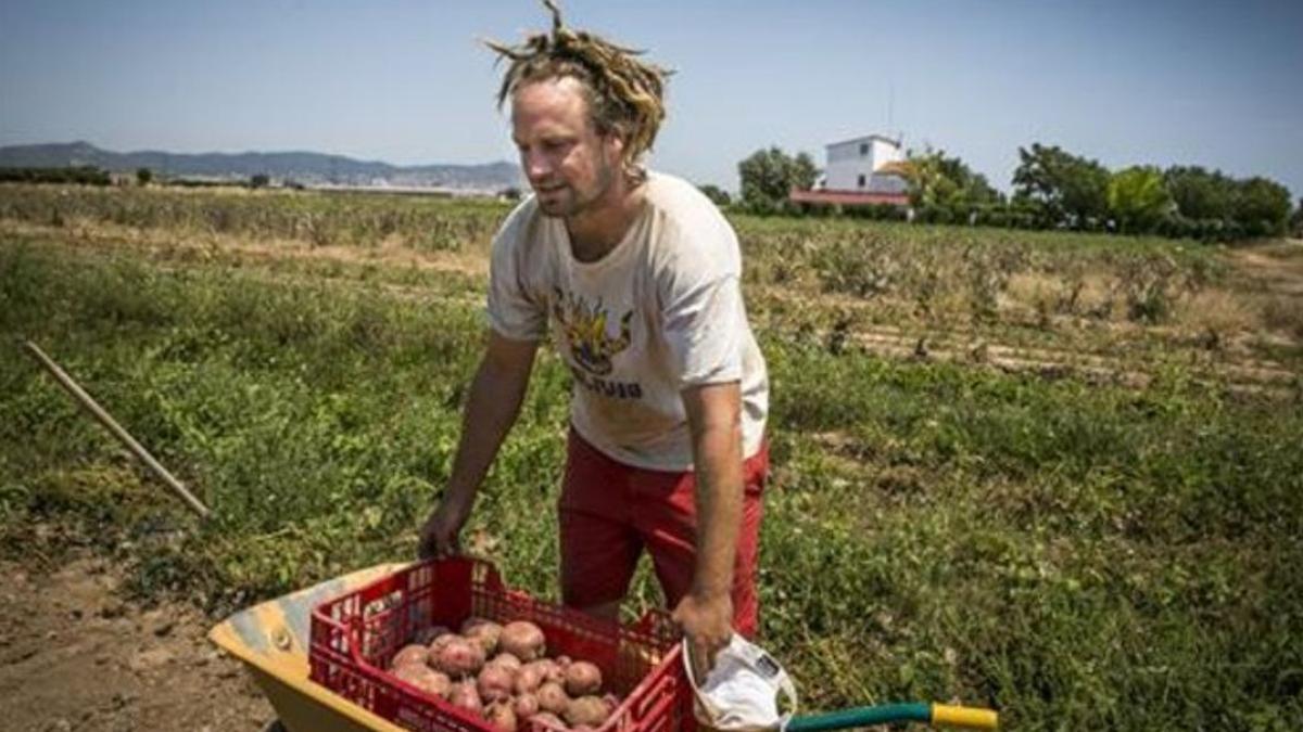 Un joven agricultor trabaja en sus tierras del parque agrario del Baix Llobregat, en 2015