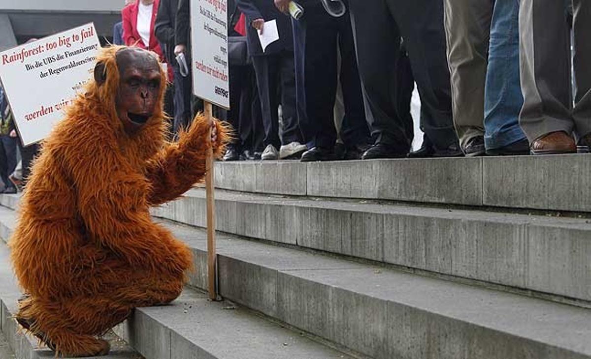 Activistes de Greenpeace vestits com orangutans amb pancartes contra la destrucció dels boscos davant de la trobada anual del banc suís UBS, a Basilea (Suïssa).