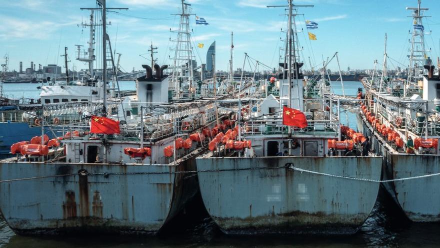 Europa gasta ya 15 millones diarios en comprar pescado de países multados por actividad ilegal