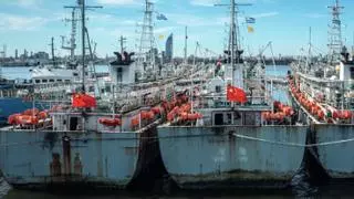 Europa gasta ya 15 millones diarios en comprar pescado de países multados por actividad ilegal