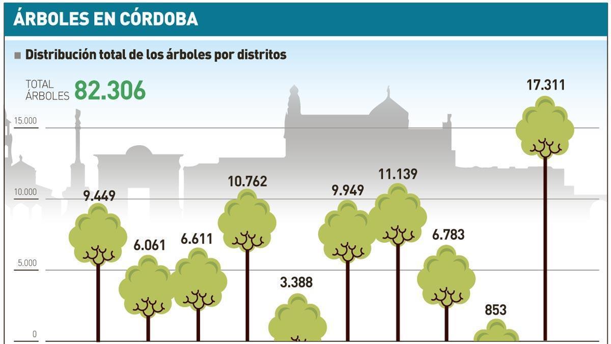 La ciudad cuenta con más de 82.000 árboles, casi 400 de especie invasora