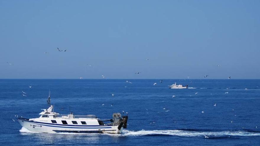 Científicos del IEO muestrean la costa desde julio.