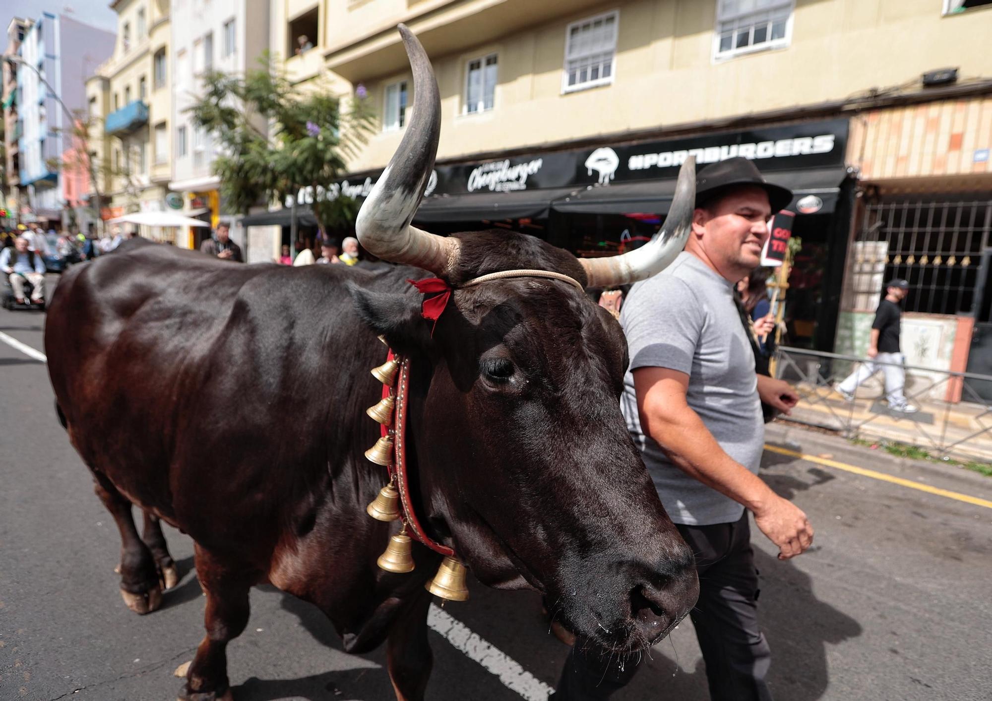 El sector agrario protesta en las calles de Santa Cruz