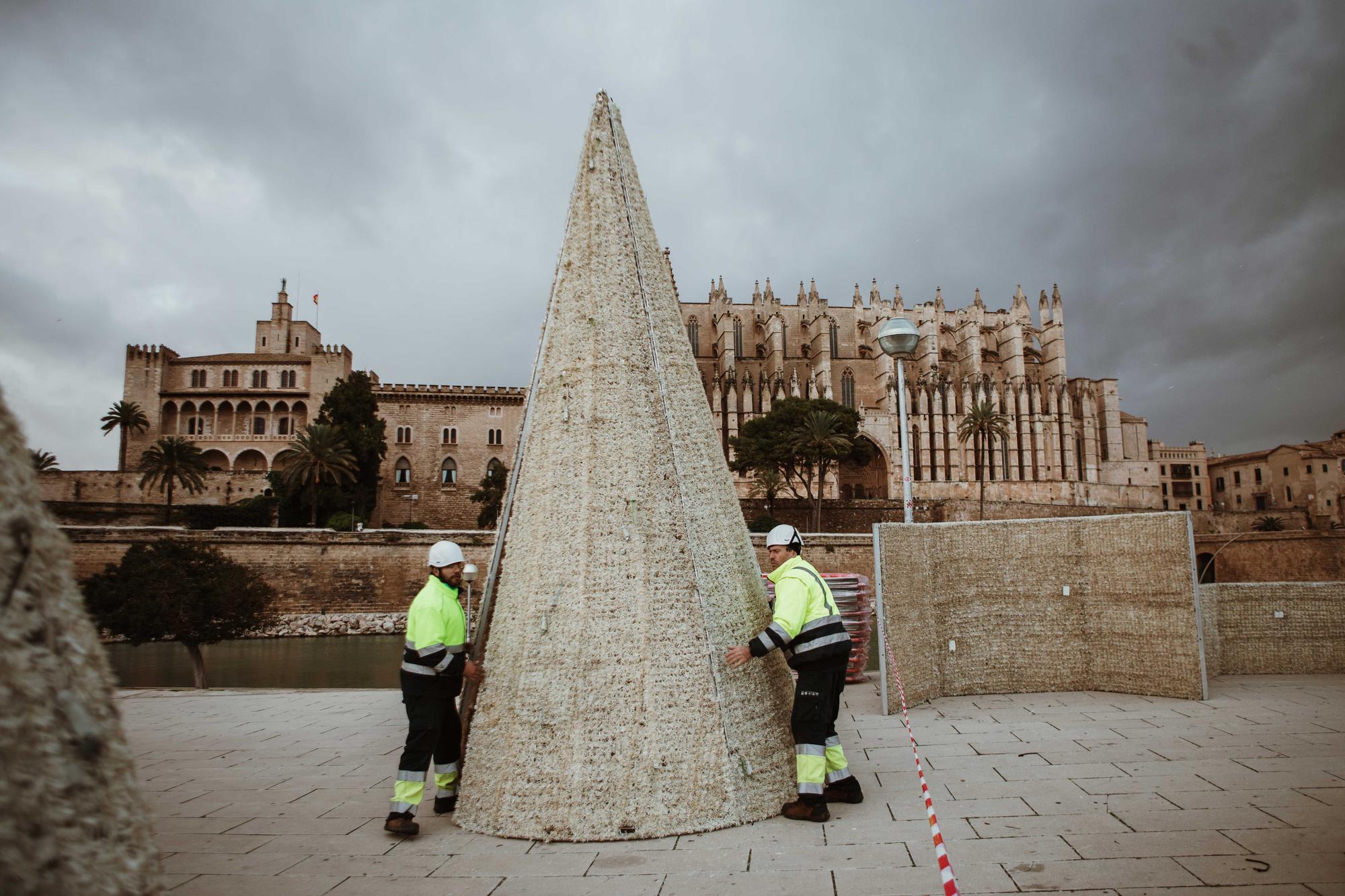 Cort empieza a montar el árbol iluminado del Parc de la Mar