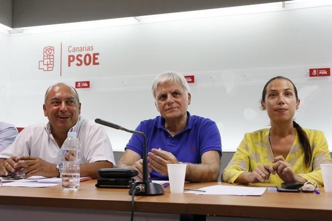 Delia Padrón Comisión Ejecutiva Regional del PSOE de Canarias , Miguel Ángel Pérez ,  Patricia Hernández y Julio Cruz entre otros