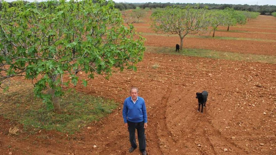 Montserrat Pons, en su finca experimental de Son Mut Nou, hace unas semanas.