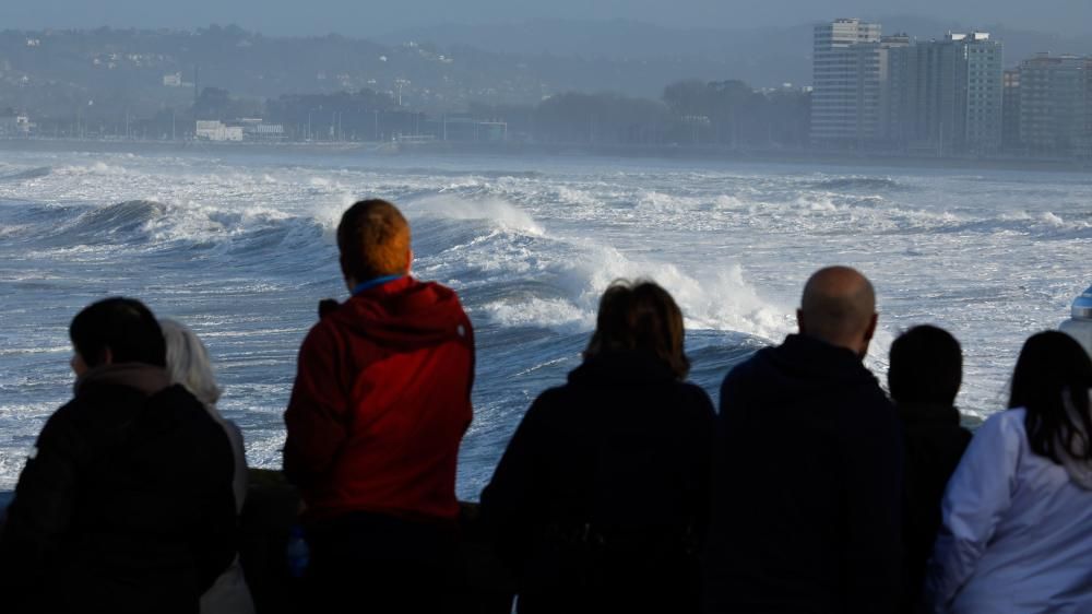 Olas de hasta trece metros