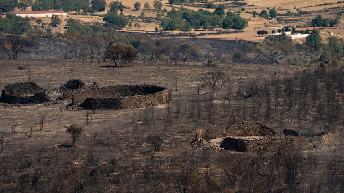 El perímetro que rodea el municipio de Losacio, arrasado por el fuego. | J. L F.