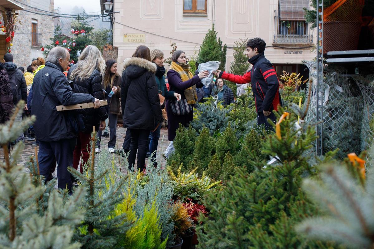 Fira de l´Avet d´Espinelves