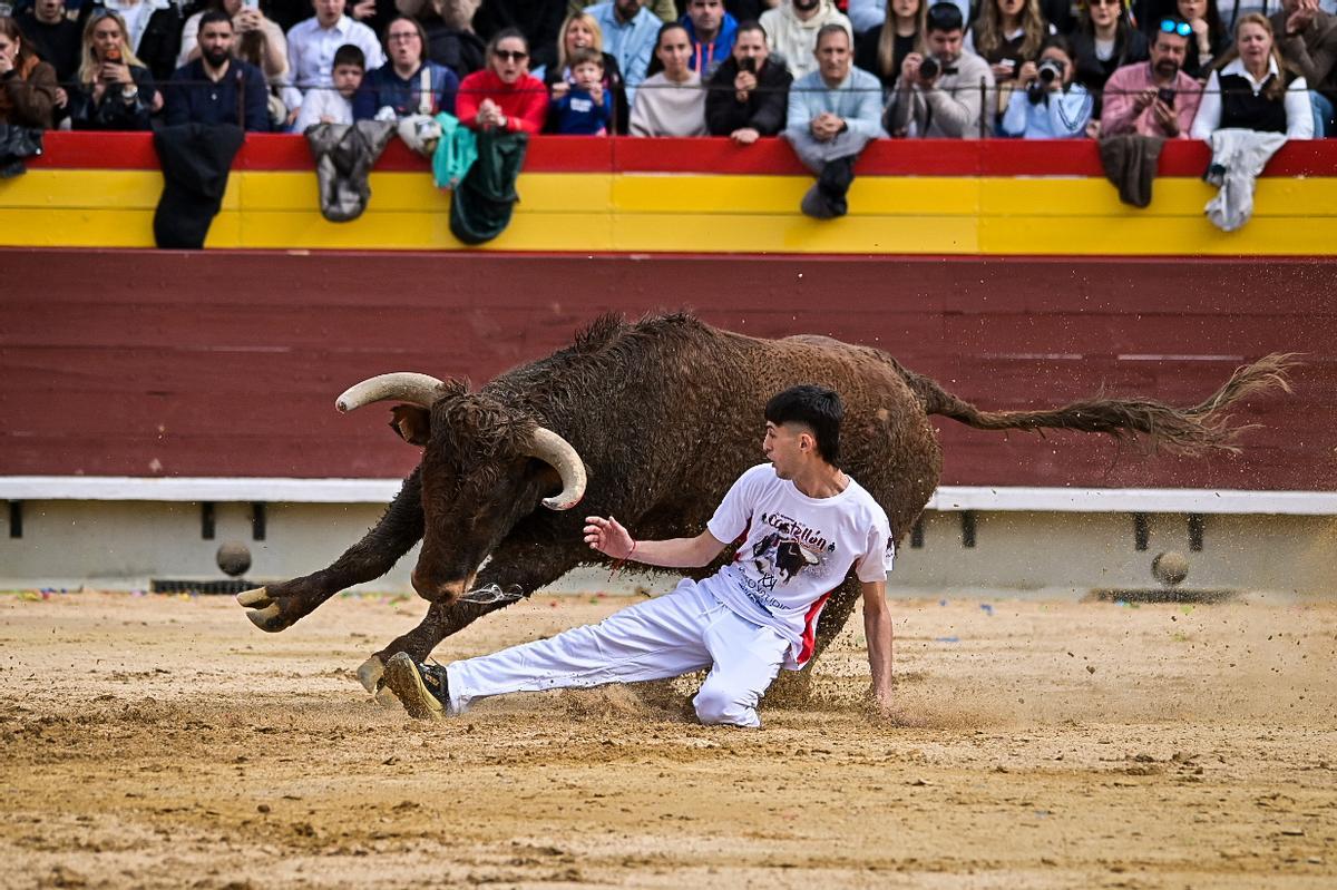 Galería de imágenes: Los maestros de la calle toman la plaza de Castelló