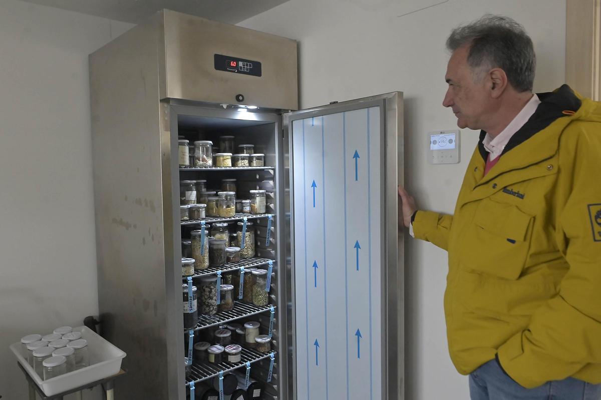 El director Julián Bartual muestra una de las neveras donde se almacenan semillas antiguas