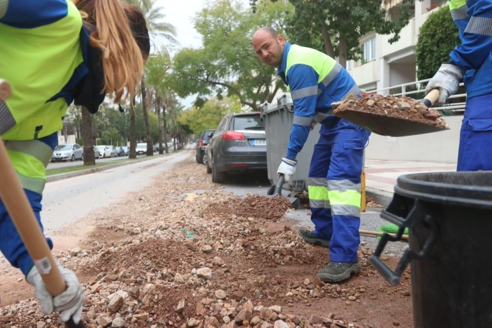 Operarios municipales despejan la calle La Era, en El Limonar.