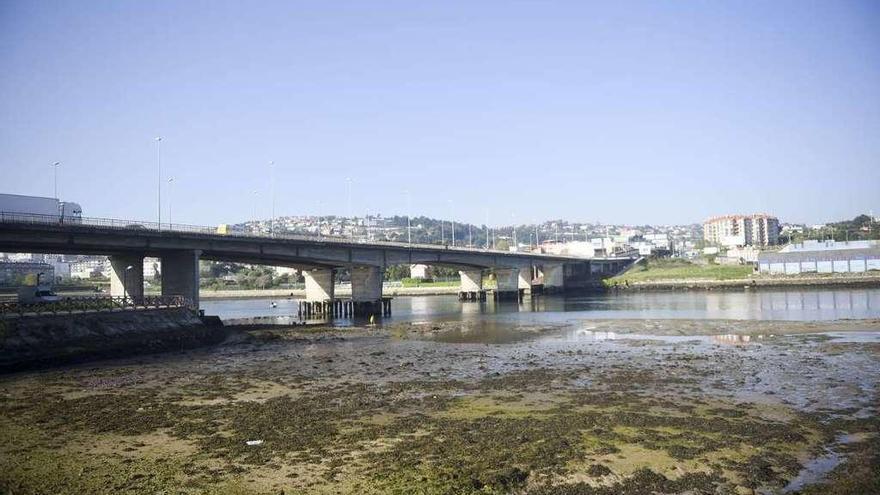 Lodos en la ría de O Burgo.