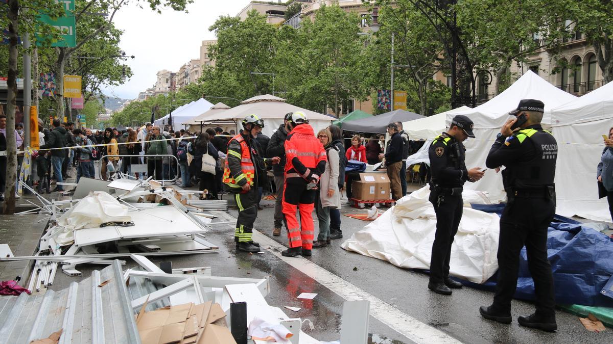 Una de les carpes de Barcelona ha sortit volant pel vent