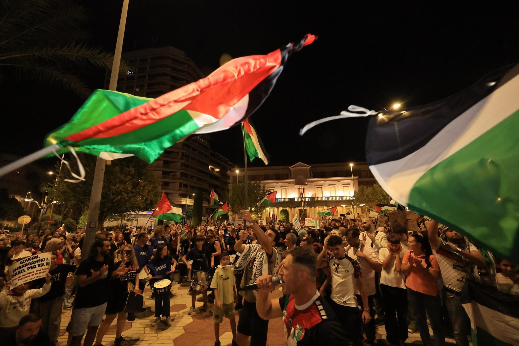 Galería de imágenes: Castellón sale a la calle en defensa de Palestina