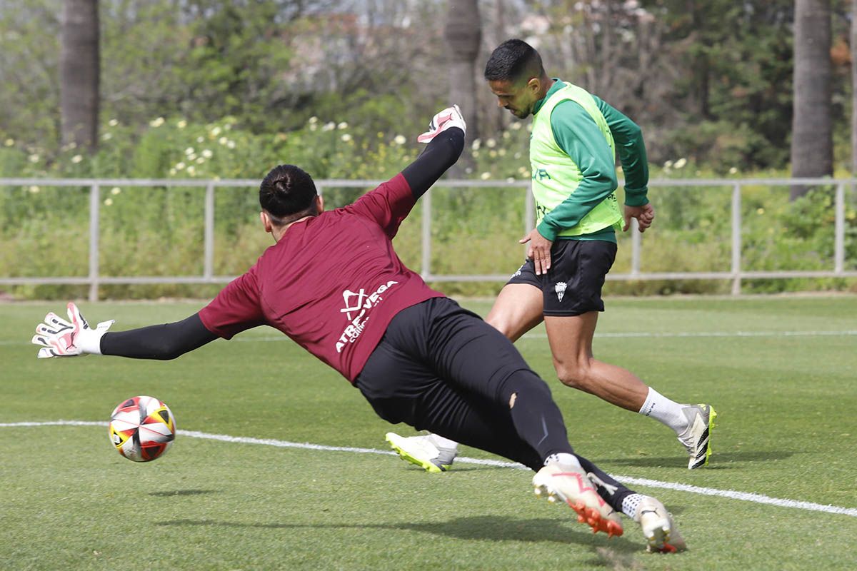 El Córdoba CF y su gran ambiente en el entrenamiento, en imágenes