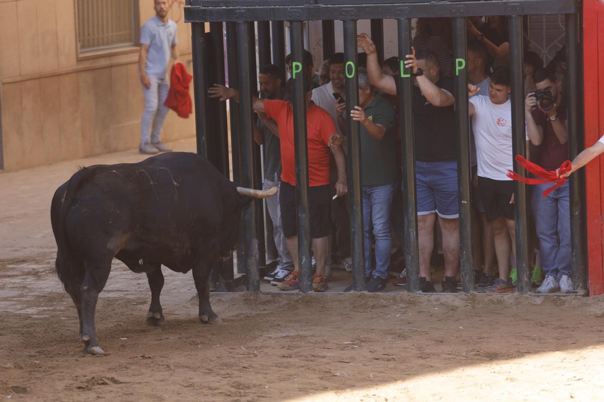 El sábado taurino de Santa Quitèria no defrauda