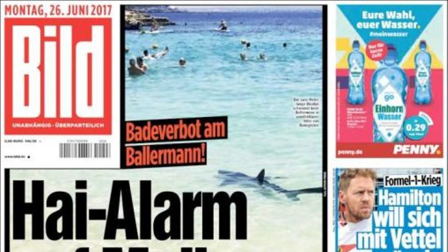 &quot;Terror en Mallorca&quot; por el tiburón, según los tabloides británicos y alemanes