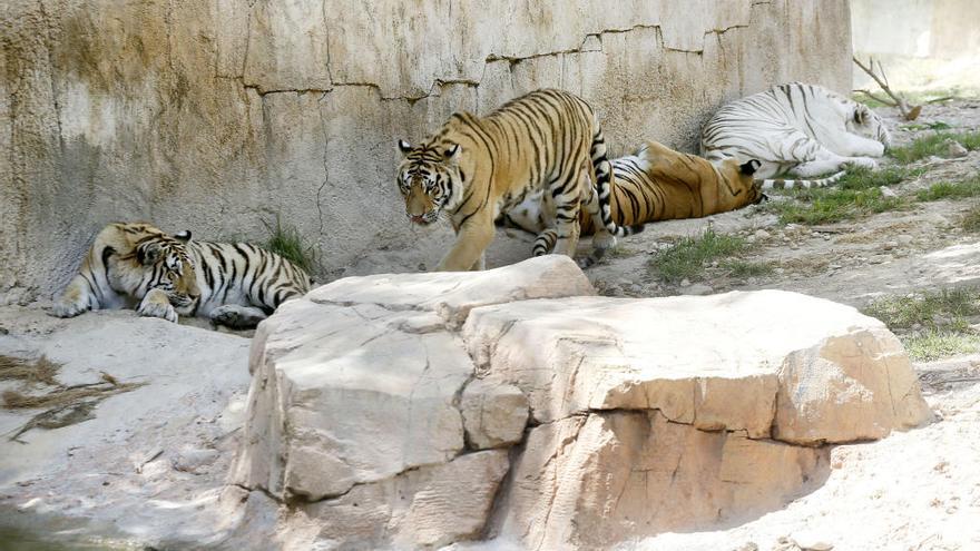 Imagen del interior de Terra Natura.